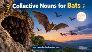 Collective Nouns for Bats